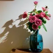 cocoaの画像