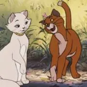 みちゃの画像