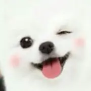 まるの画像