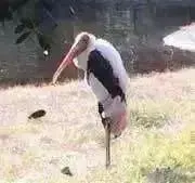ひろなの画像