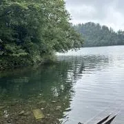 adowadoの画像