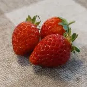 いちごの画像