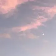 Mの画像