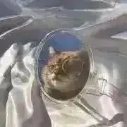 すみ‎︎の画像