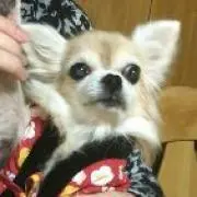 スー