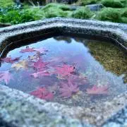 k.k.の画像