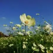 micha1121の画像