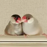 sachi－ｍ－プロフご確認下さい☆の画像
