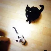 かに