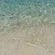 ゆの画像