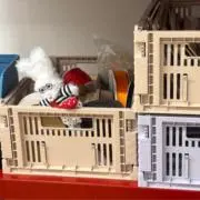 はお