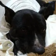 *°ルン*°