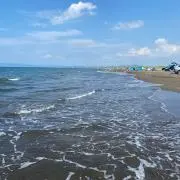 RS【発送2、3日】の画像