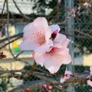 TRK&GFの画像