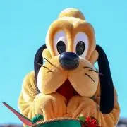 ココナッツの画像