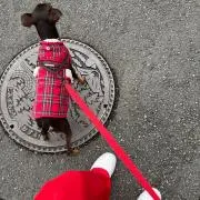 okz