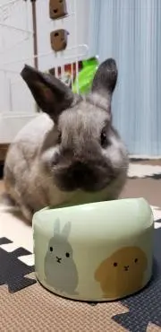 金子