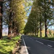 nikochanbigMKの画像