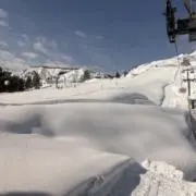 ヨッピーの画像