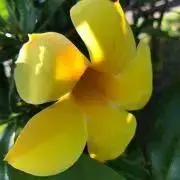 momoraggaプロフ必読の画像