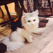 断捨離中♪ゆうそ