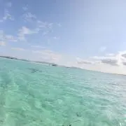 sannの画像