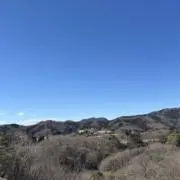 sub