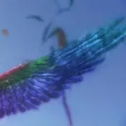 なるみ