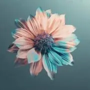 すんの画像