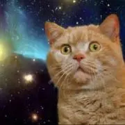おにぎりです(注意事項あり）の画像