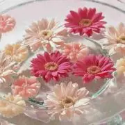 はなこ