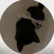 りの画像