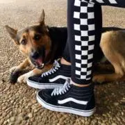 もってぃの画像