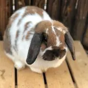 Mの画像