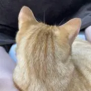 kmkの画像
