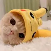 らむの画像