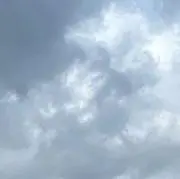 即購入可能