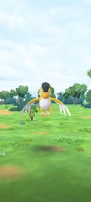 クチクチピィ