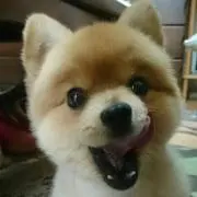 ヲリヲ