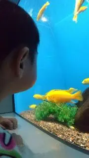 みゃ