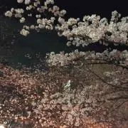 ゆうちゃん