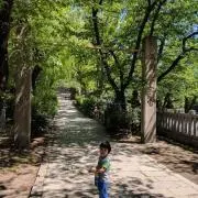 りよの画像