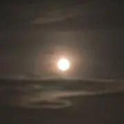 しゃーくの画像