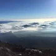 ところ