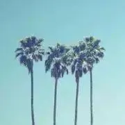 R ☆の画像