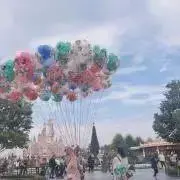 わんの画像
