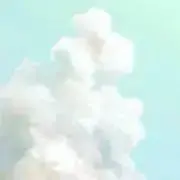 の【プロフ読んでください】の画像
