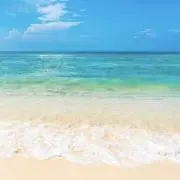 Jackieの画像