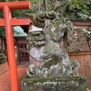 彼岸花❁断捨離中の画像