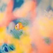 yupyの画像